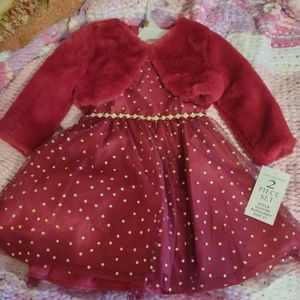 Beautiful NWT 2T dress